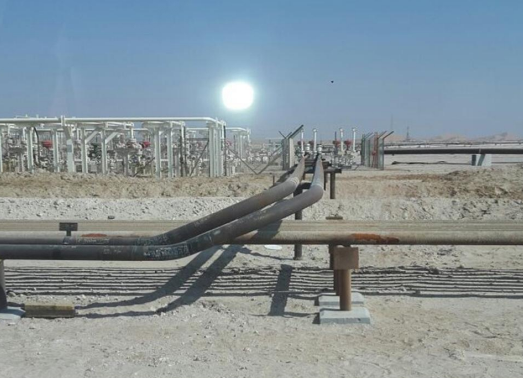 Project Image 1